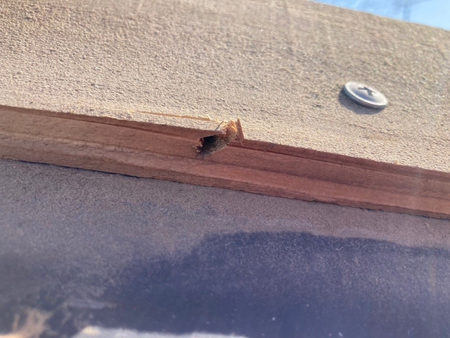 取り残された釘